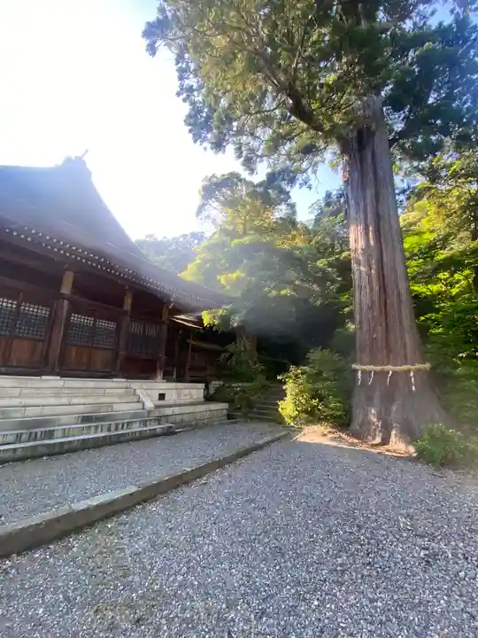 菅生石部神社(石川県)
