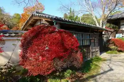 毘沙門堂門跡のその他建物