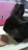 黒うささんのプロフィール画像