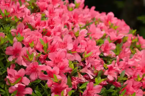 野見神社(大阪府)