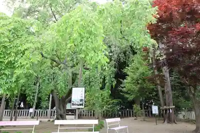 常陸第三宮 吉田神社(茨城県)