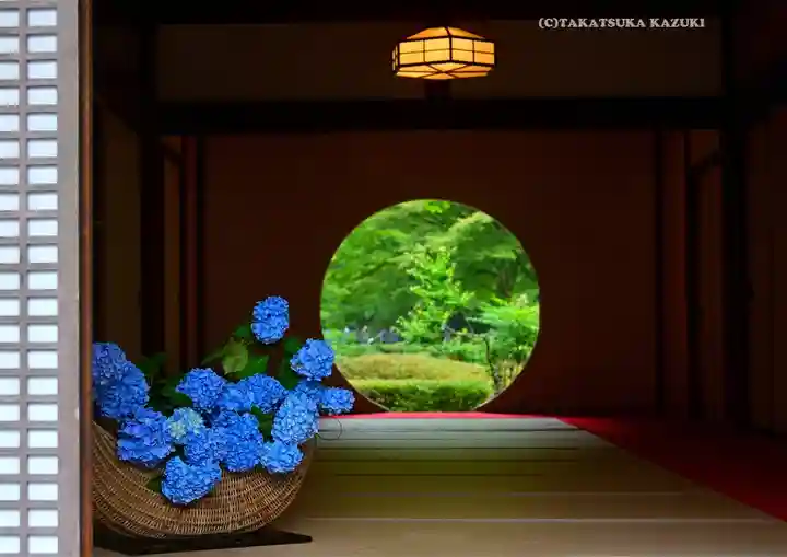 明月院(神奈川県)