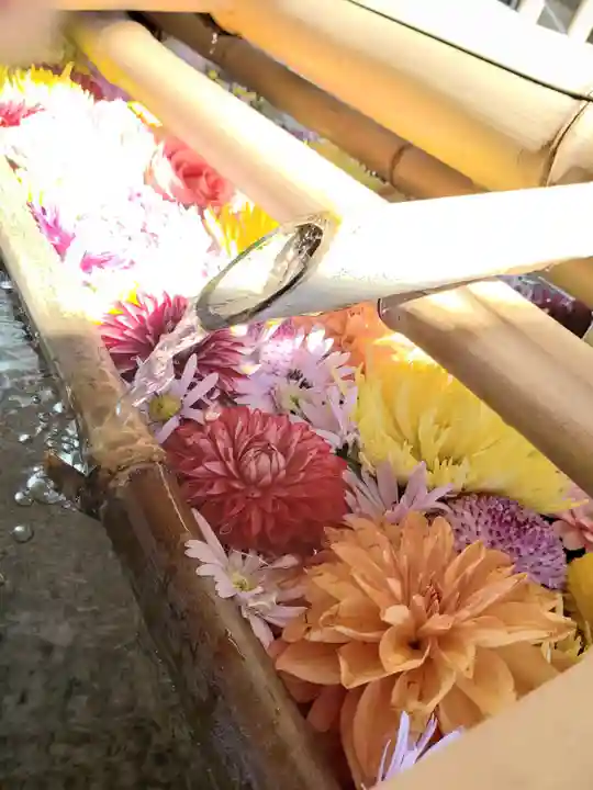 東郷神社(東京都)