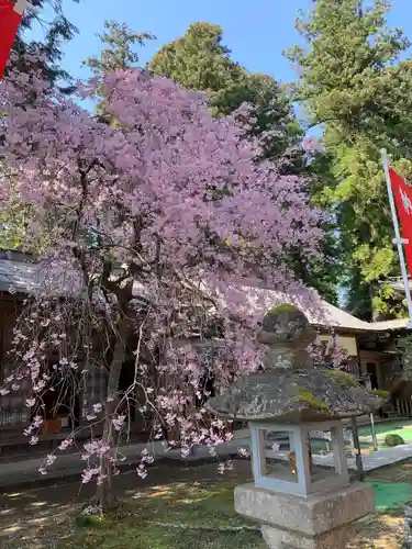 光丸山 法輪寺の自然