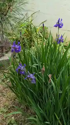大松禅寺(京都府)