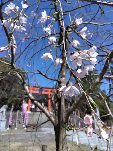 藤島神社（贈正一位新田義貞公之大宮）(福井県)