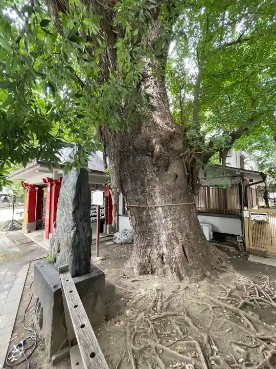 品川寺(東京都)