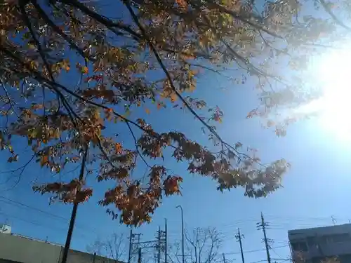 大神神社（花池）の自然