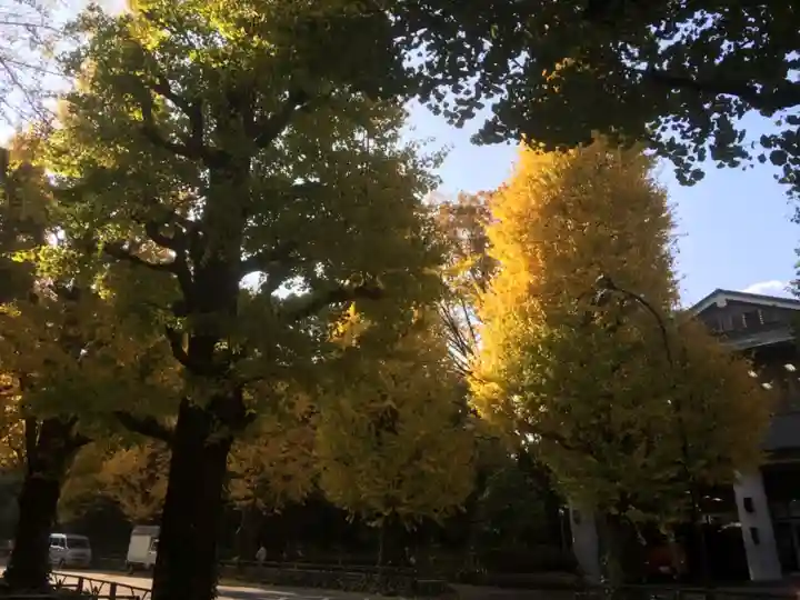 明治神宮の自然