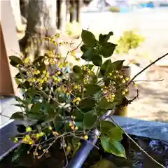 高司神社〜むすびの神の鎮まる社〜の手水