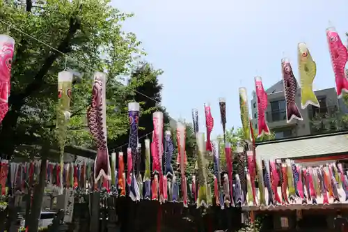 くまくま神社(導きの社 熊野町熊野神社)のお祭り