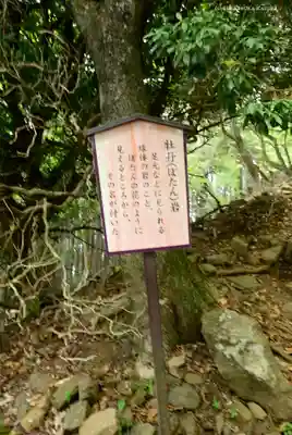 大山阿夫利神社本社のその他建物