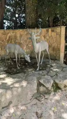 志賀海神社(福岡県)