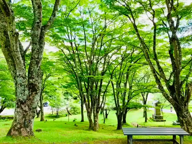 土津神社|こどもと出世の神さまの自然