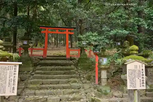 春日大社 若宮（春日若宮）(奈良県)