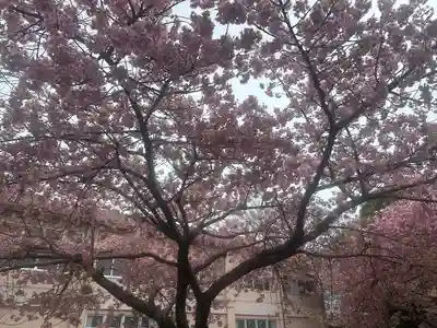 米之宮浅間神社(静岡県)