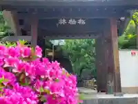円福寺の山門・神門