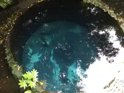 貴船神社(静岡県)