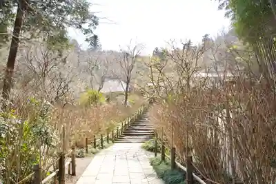 明月院のその他建物