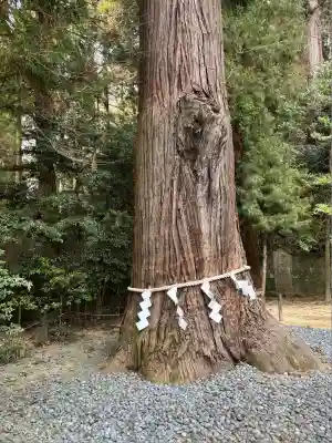 鹿嶋神社(福島県)