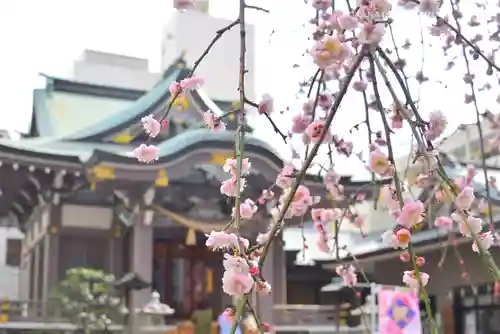 柏神社(千葉県)