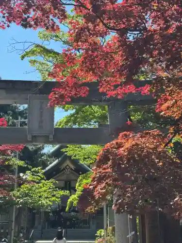 彌彦神社　(伊夜日子神社)(北海道)