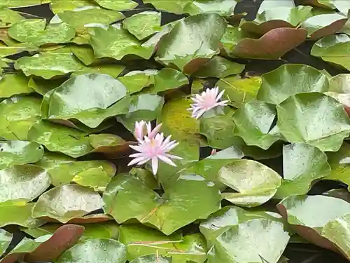 金剛證寺(三重県)