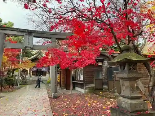 彌彦神社　(伊夜日子神社)の自然