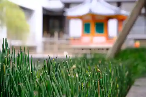 頂法寺（六角堂）のその他建物
