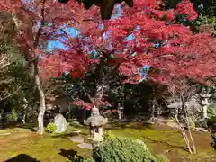 行基寺(岐阜県)