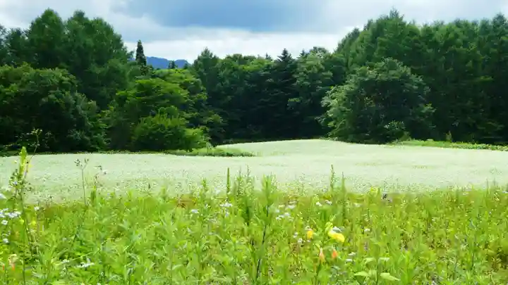 戸隠神社火之御子社の周辺