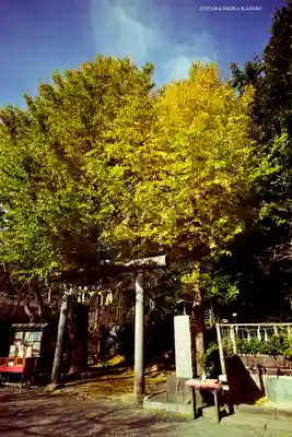 葛原岡神社(神奈川県)