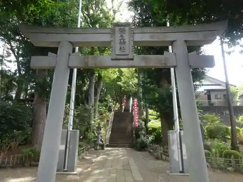 弥生神社の鳥居