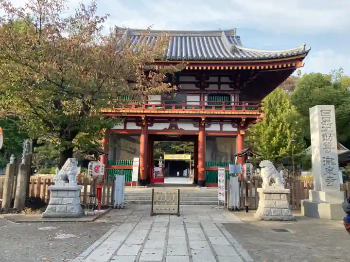 瀧泉寺(目黒不動尊)(東京都)