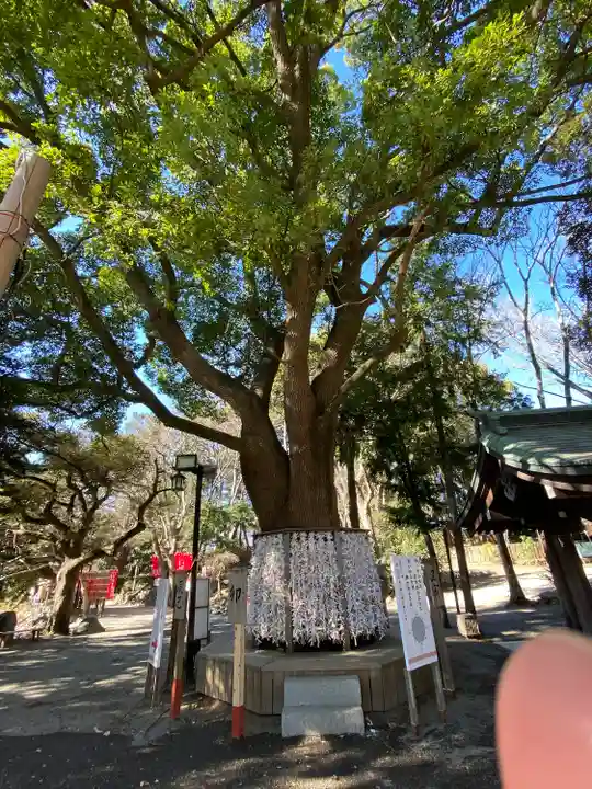 平塚八幡宮(神奈川県)