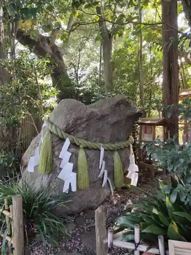 大宮八幡宮の自然