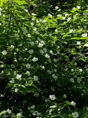 雲巌寺(栃木県)
