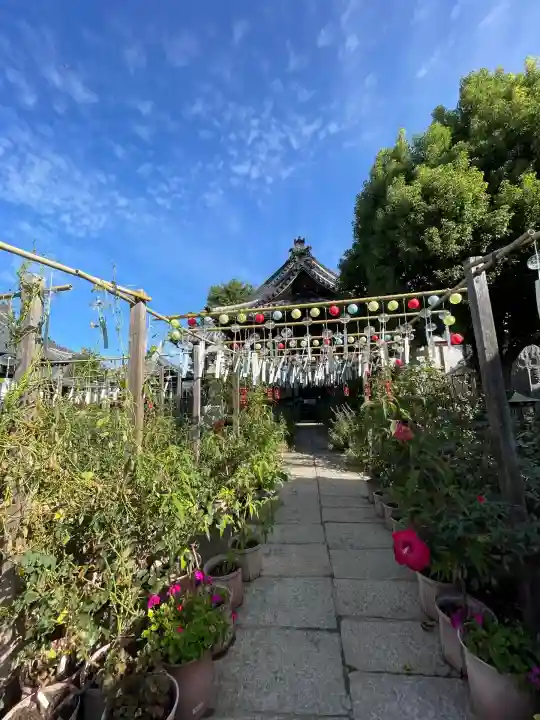 おふさ観音(観音寺)(奈良県)