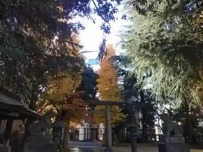 青山熊野神社(東京都)