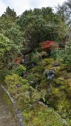 霊鑑寺門跡(京都府)