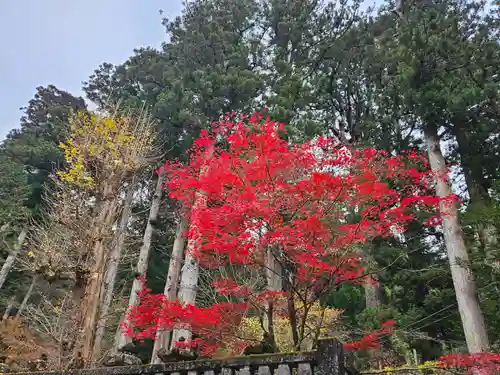 日光山輪王寺 大猷院(栃木県)