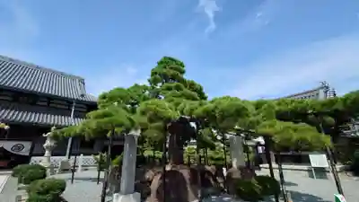 花岳寺(兵庫県)