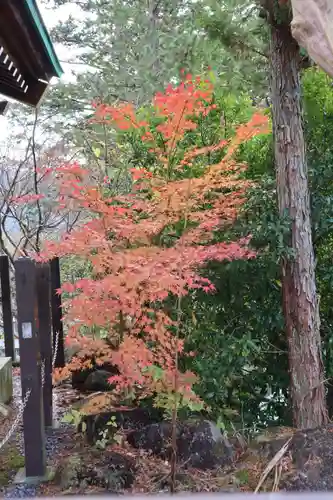 常陸国出雲大社の自然