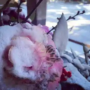 滑川神社 - 仕事と子どもの守り神(福島県)(2022年02月12日(土) 10時53分10秒投稿)