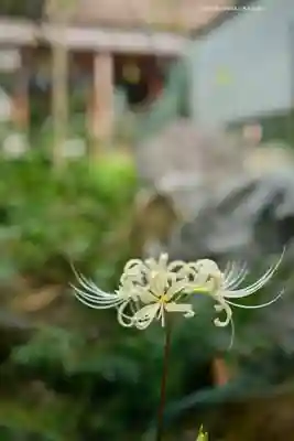 宝城坊(神奈川県)