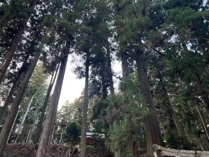大宮温泉神社(栃木県)