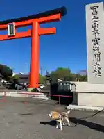 富士山本宮浅間大社(静岡県)