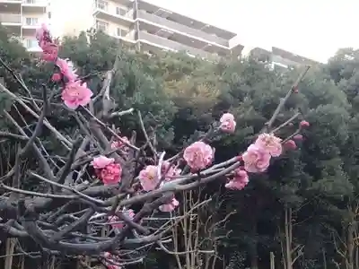 大善寺(神奈川県)