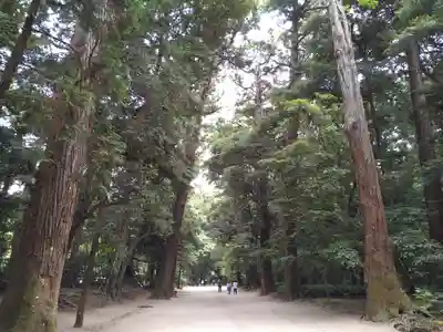 奥宮(鹿島神宮摂社)(茨城県)