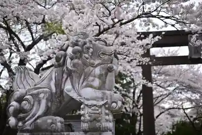 冨士御室浅間神社(山梨県)